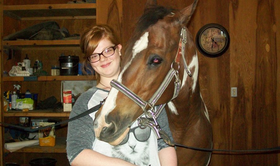 Kayla Snyder – 2014 MyMajors Intern