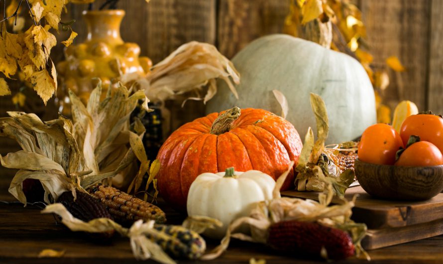 Happy Thanksgiving!